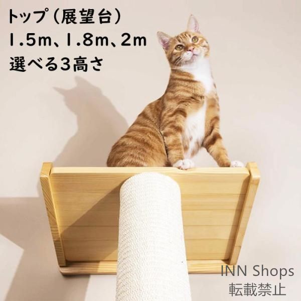 斜め 登り