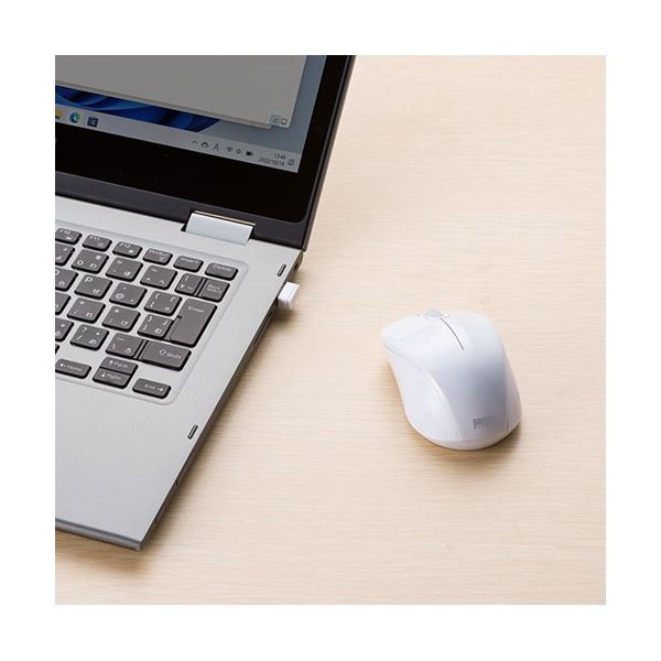 未開封】 Free! バースデー メモリアルブック Free!シリーズバースデー