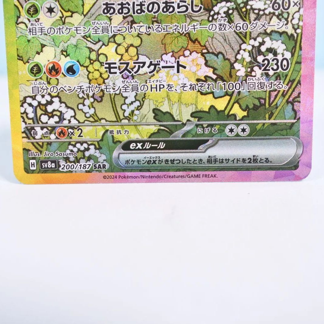 ポケモンカードテラスタルリーフィアSARと マスボ２枚　モンボ6枚 その他 リーフィア ポケモンカード ポケカ テラスタルフェスex SAR