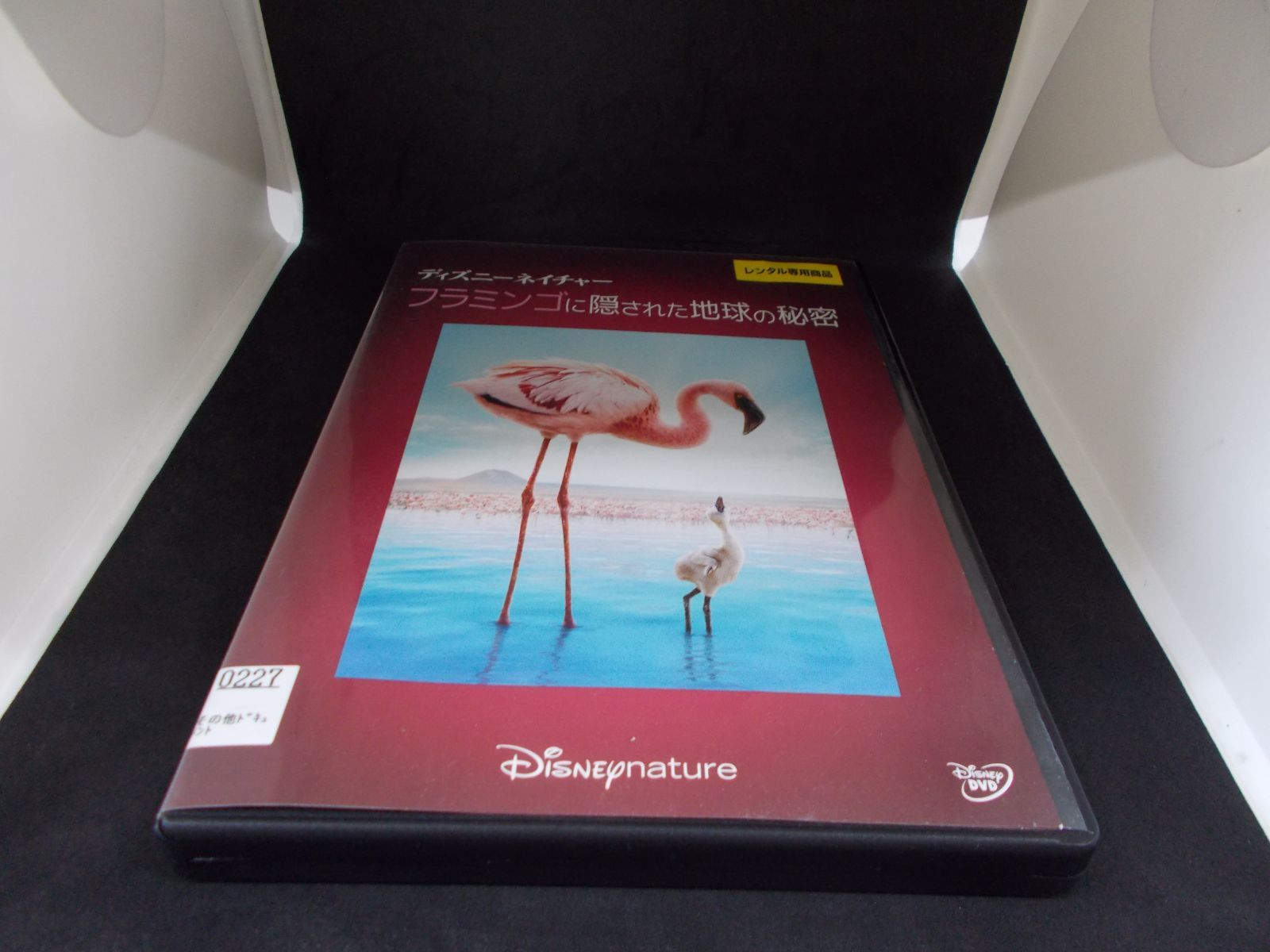 ディズニーネイチャー　フラミンゴに隠された地球の秘密　レンタル専用　中古　DVD　ケース付き