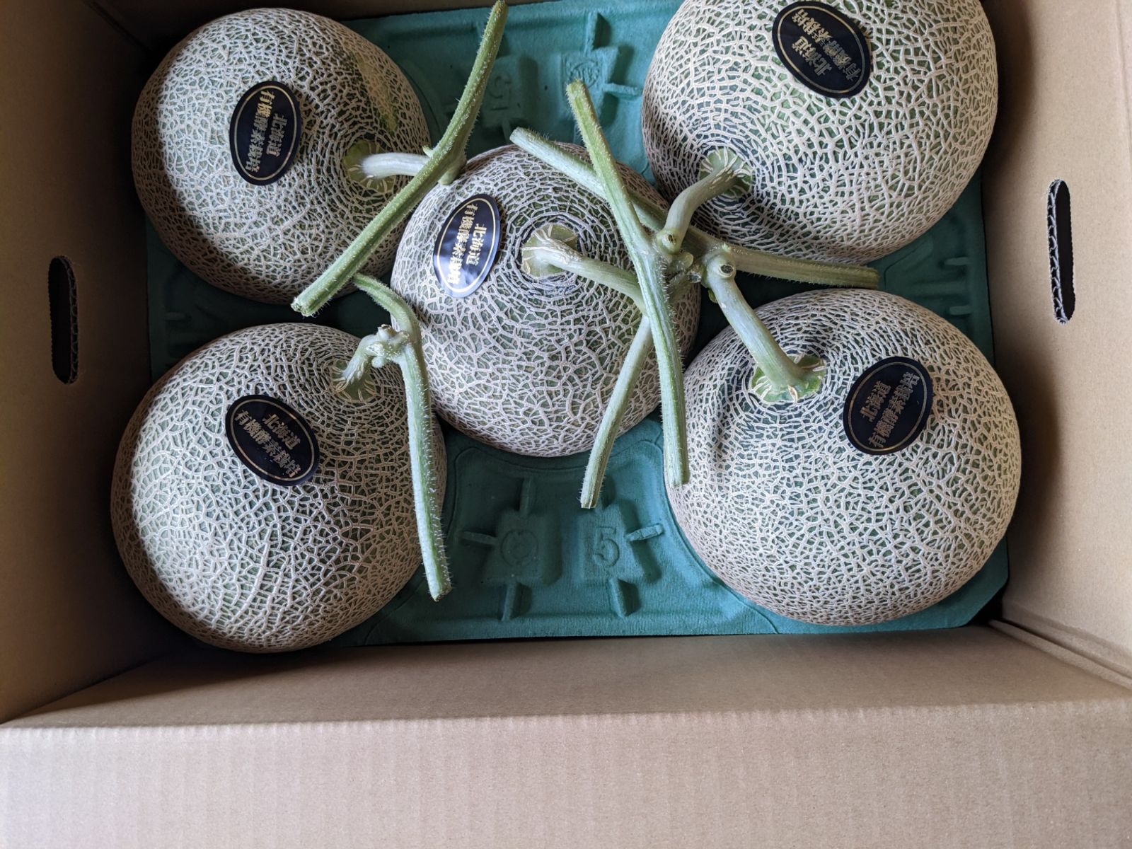 北海道産 酵素栽培 赤肉メロン 8kg 4 6玉入 数量