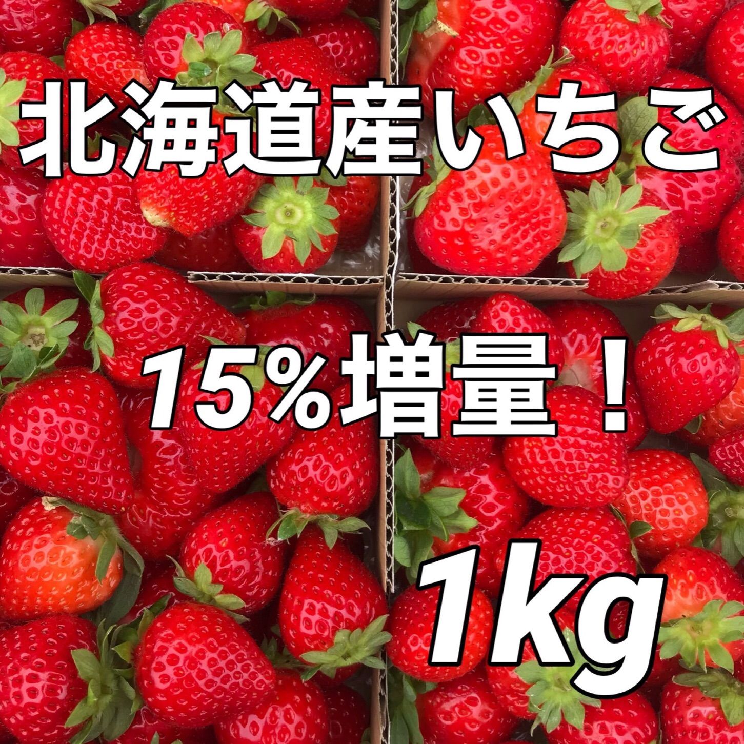 北海道栗山町産 ファームうかわ 訳あり苺 バラ詰め 1kg 生いちご イチゴ