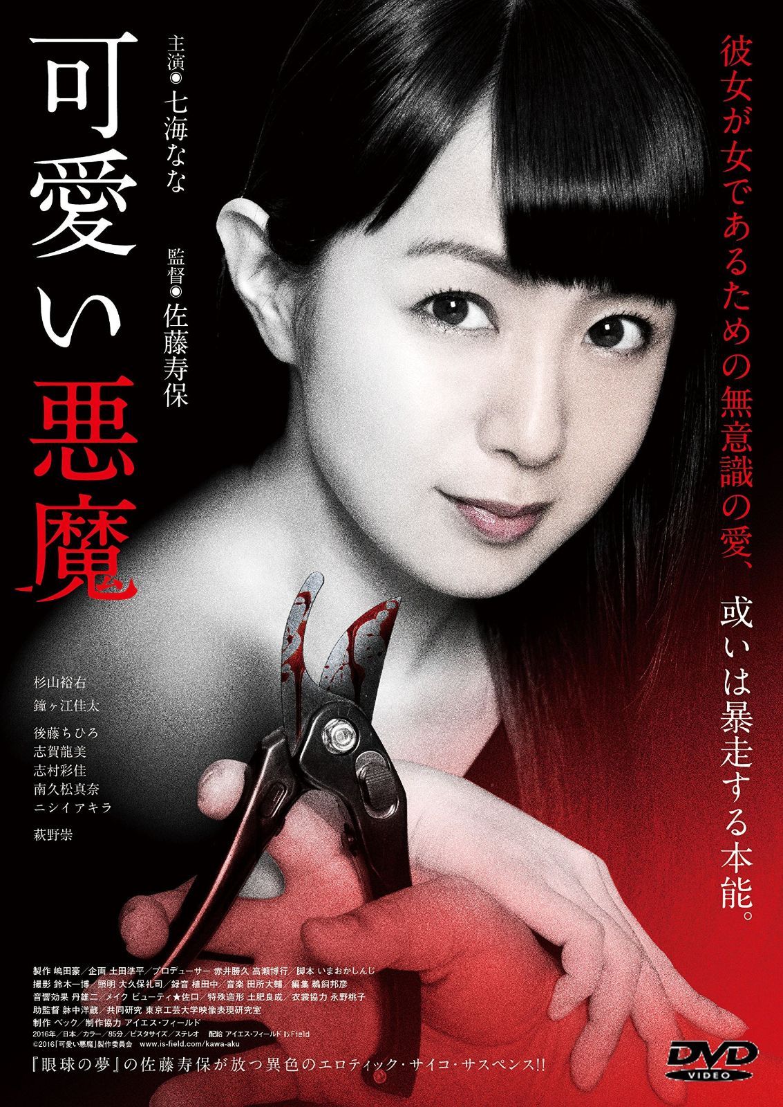 悪魔 DVD
