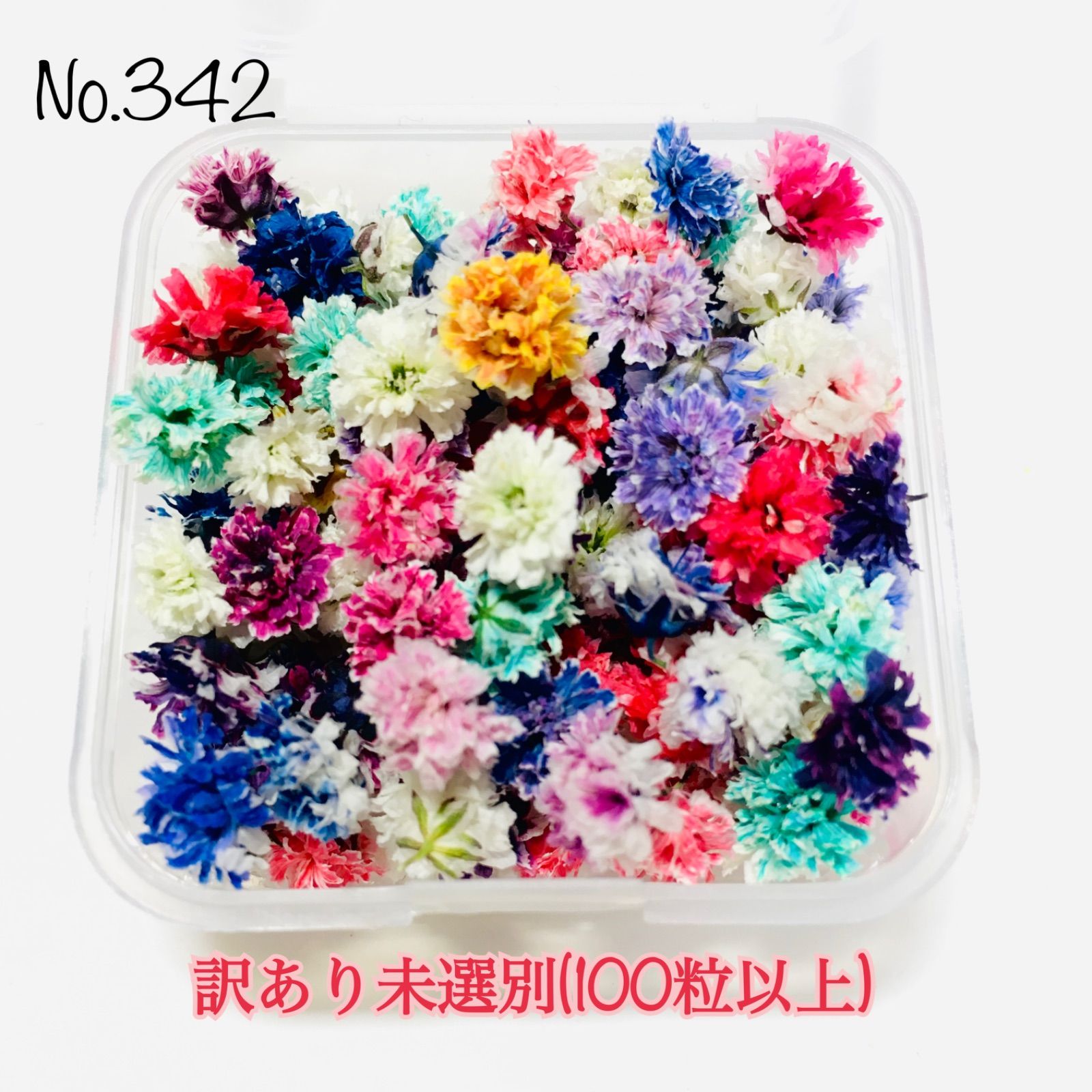 No.342♡SALE✧‧˚ドライフラワー 素材 かすみ草 花材 【訳あり