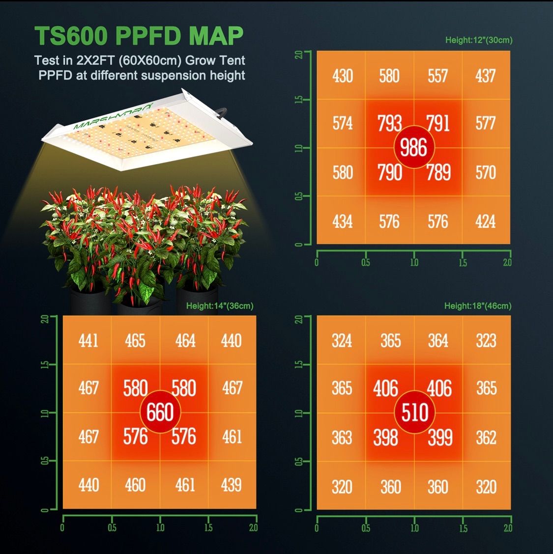 TS-600