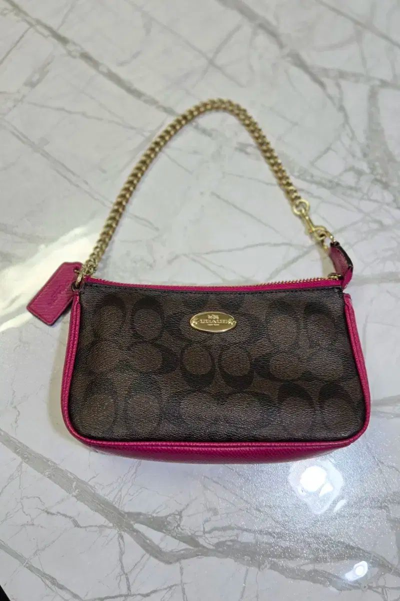 COACH コーチ シグニチャー ミニ ショルダーバッグ ノリタ 19 バッグ