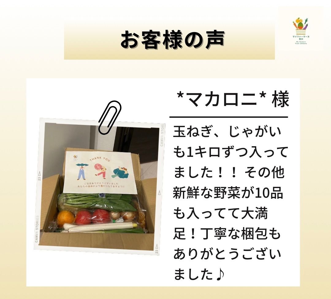 IKA様専用⭐︎季節のお野菜セット100クール便 IKA様専用⭐︎季節のお野菜セット100クール便