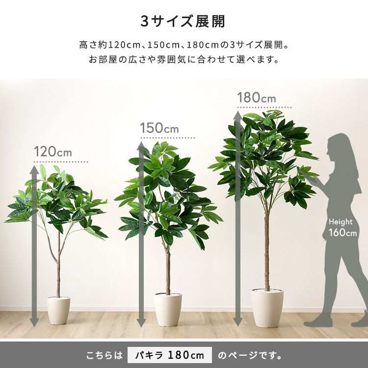 お手入れ簡単フェイクグリーン パキラ