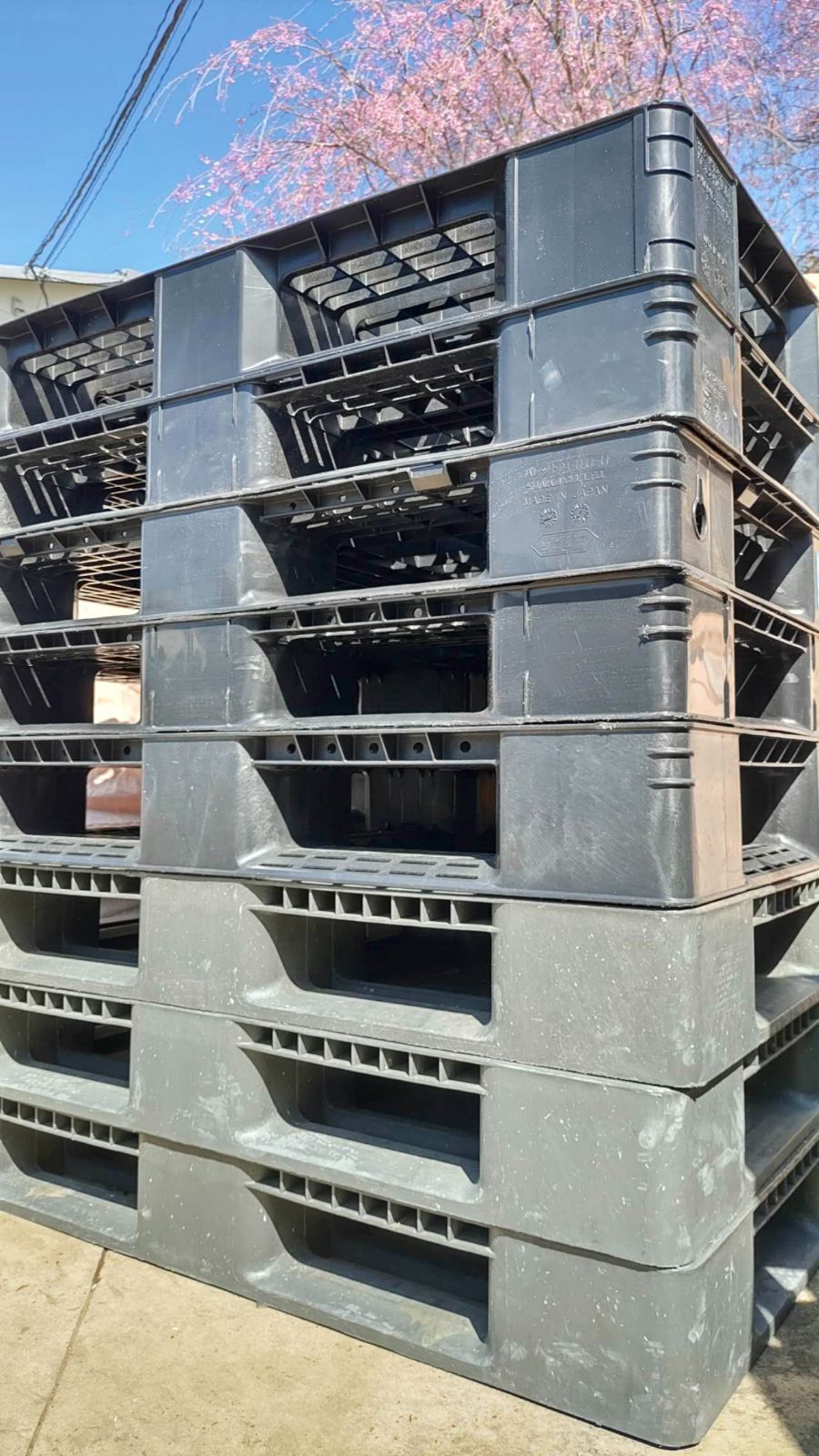 来店引取 プラスチックパレット