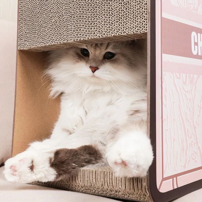 猫 爪とぎ
