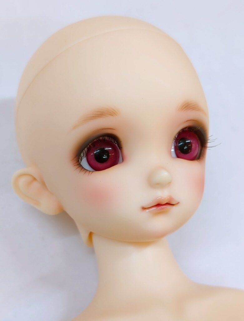 コーディネートモデル F-48
