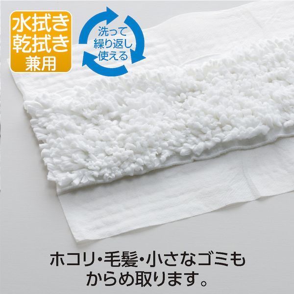 ５０枚入