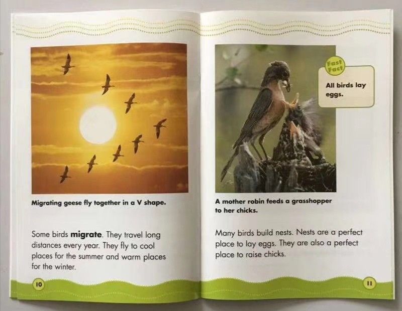 Scholastic Science Vocabulary Readers 30冊＋ガイド4冊 合計34