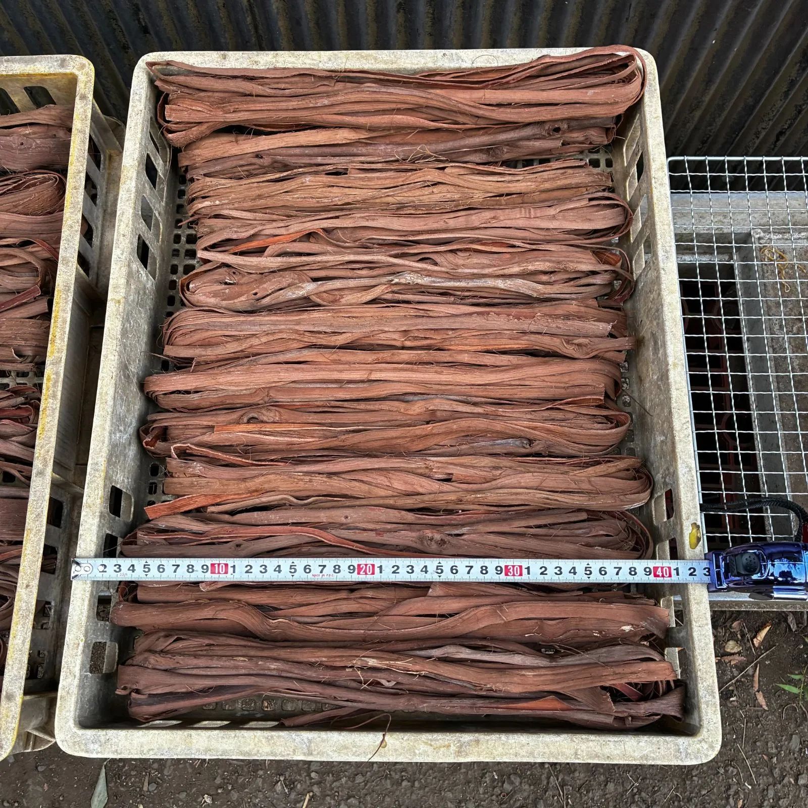 ④山葡萄 蔓 上品1キロ