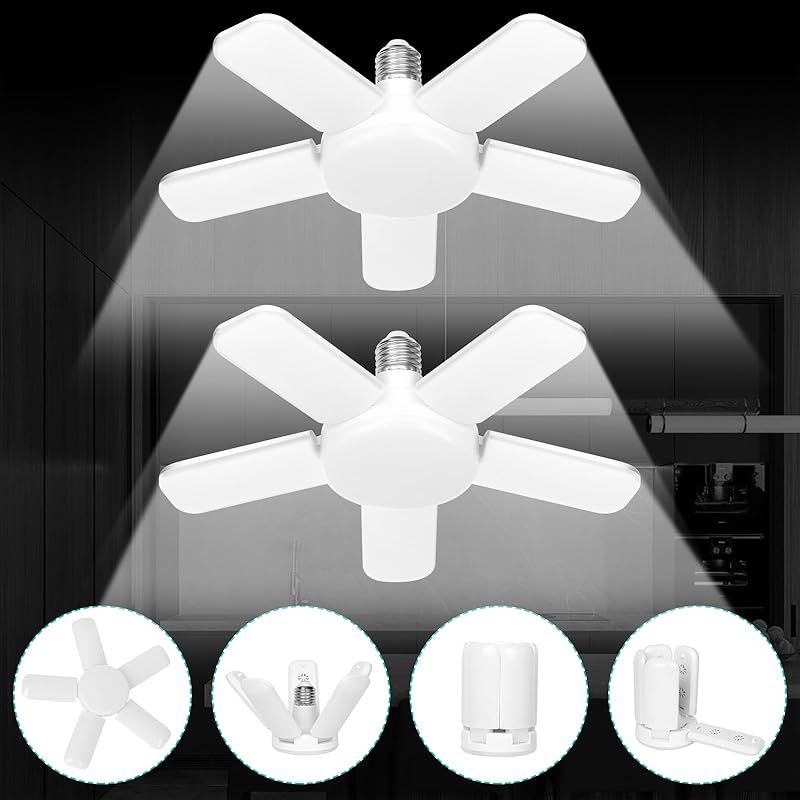 ケラリア ピグマエア 発根済み 現地球 良型大型 鉢ごと発送