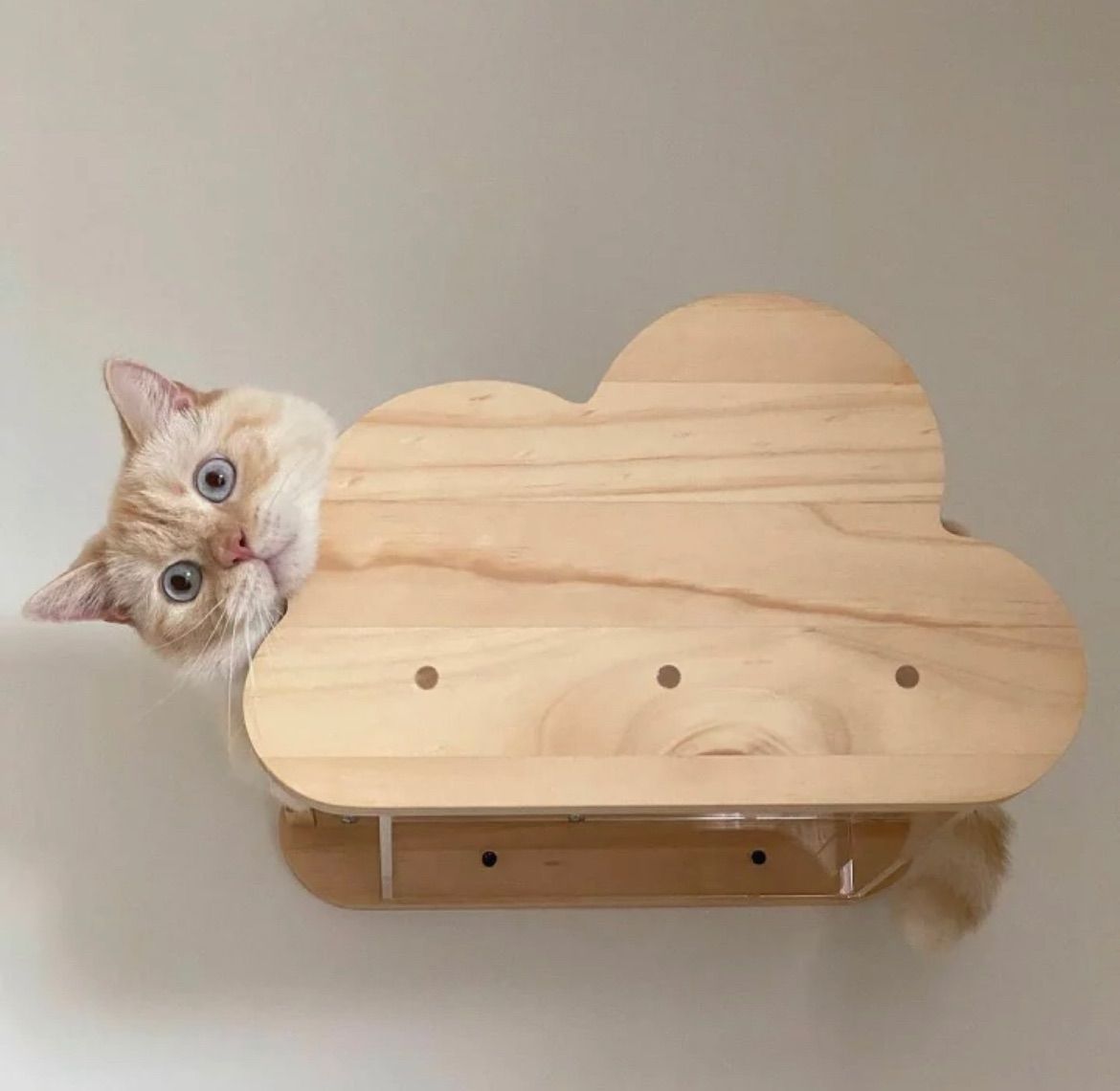 MYZOO マイズー モク MOKU 透明キャットステップ キャット