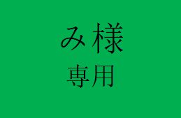 ˚.꒰ ☺︎様 ꒱.˚専用ページ み様 専用 - メルカリ