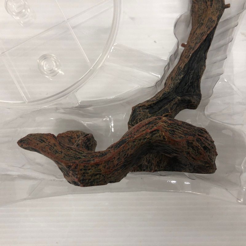 パンサーカメレオン