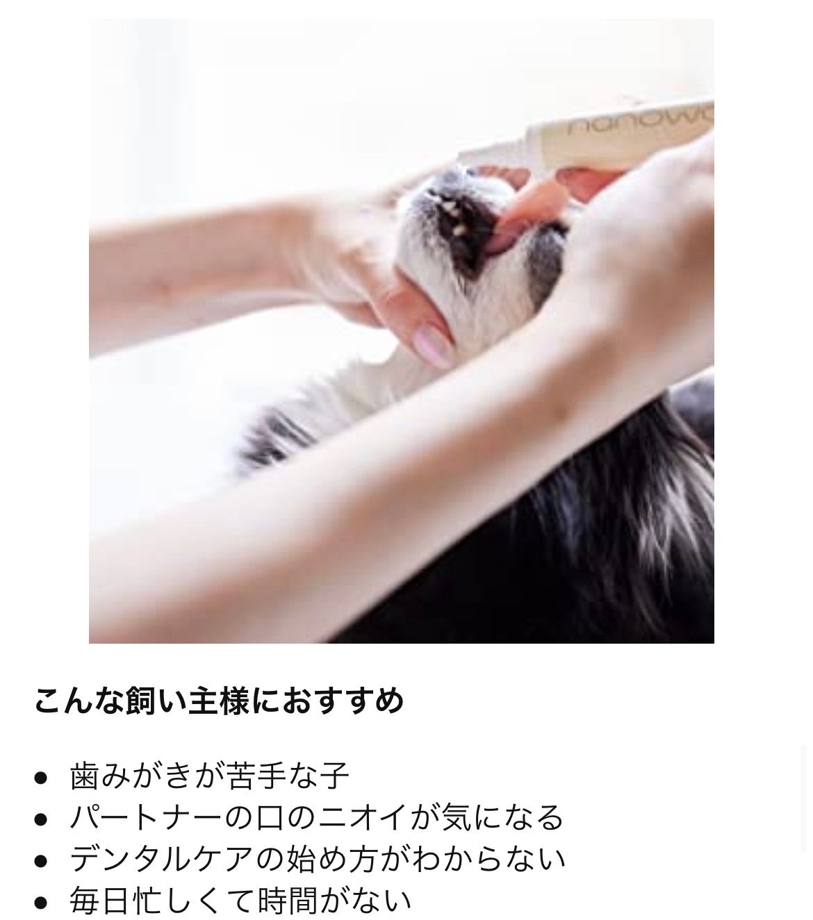 犬用歯ブラシ プリエブラシＳ＋ナノウエルオーラルケア5個 STEELWINDOWSANDDOORS_COM