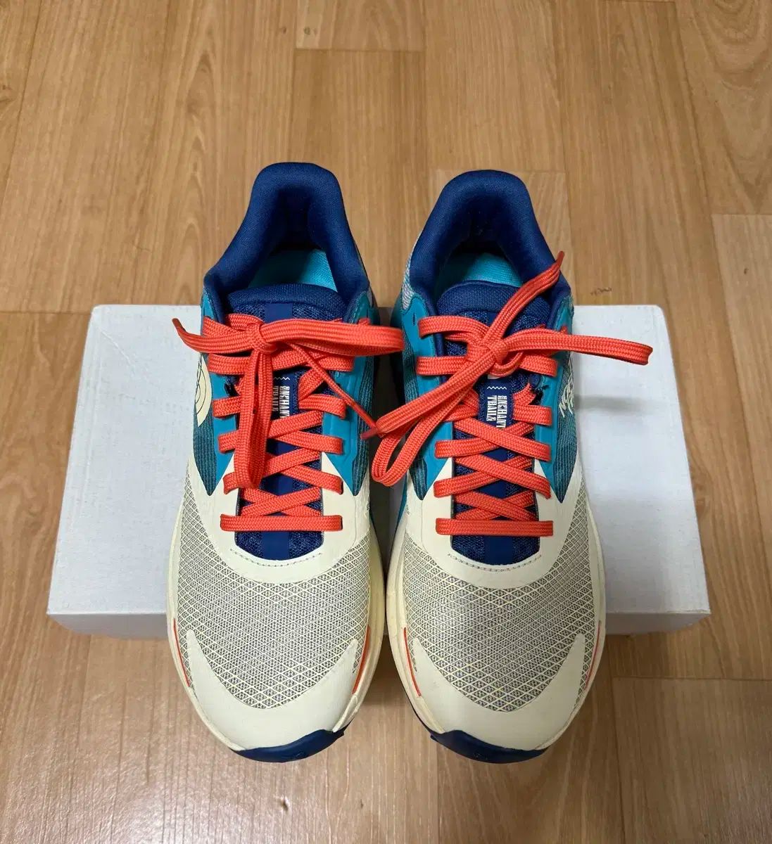 THE NORTH FACE ザノースフェイス トレッキング ランニングシューズ 245