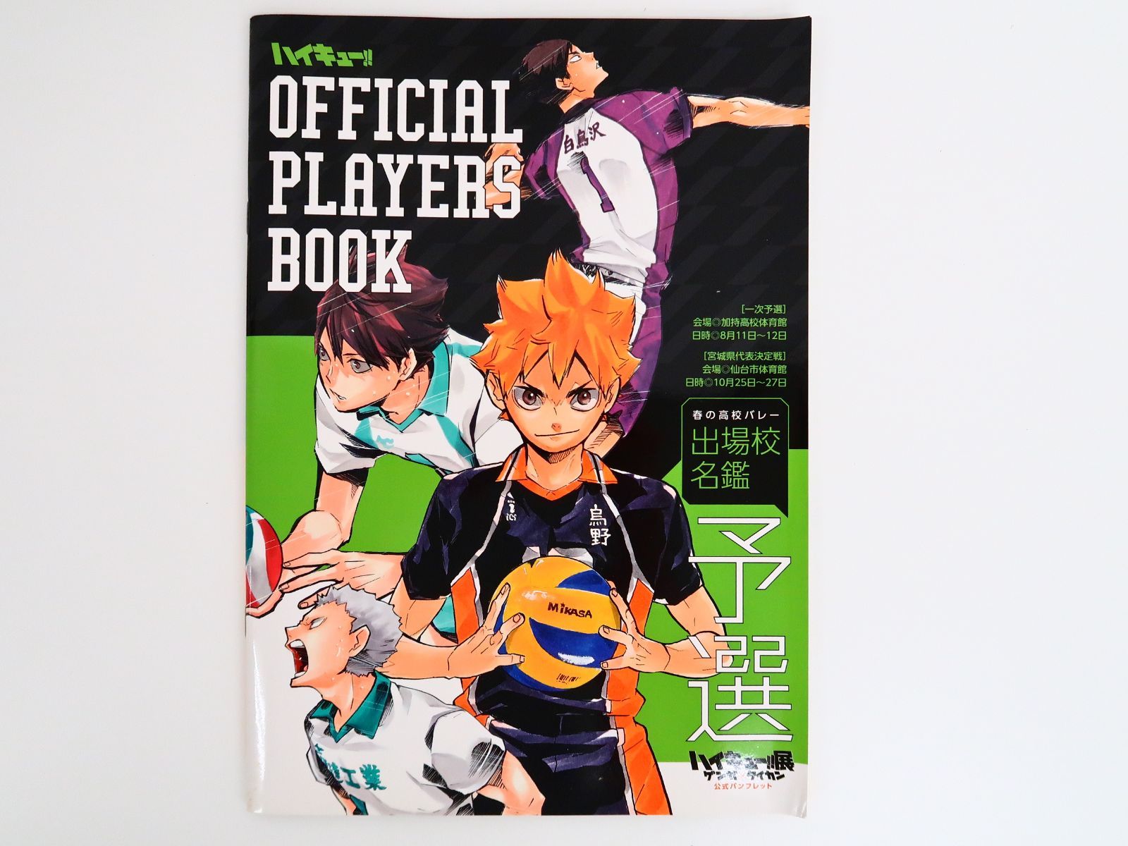 ハイキュー!!展 ゲンガ×タイカン A4サイズビッグステッカー