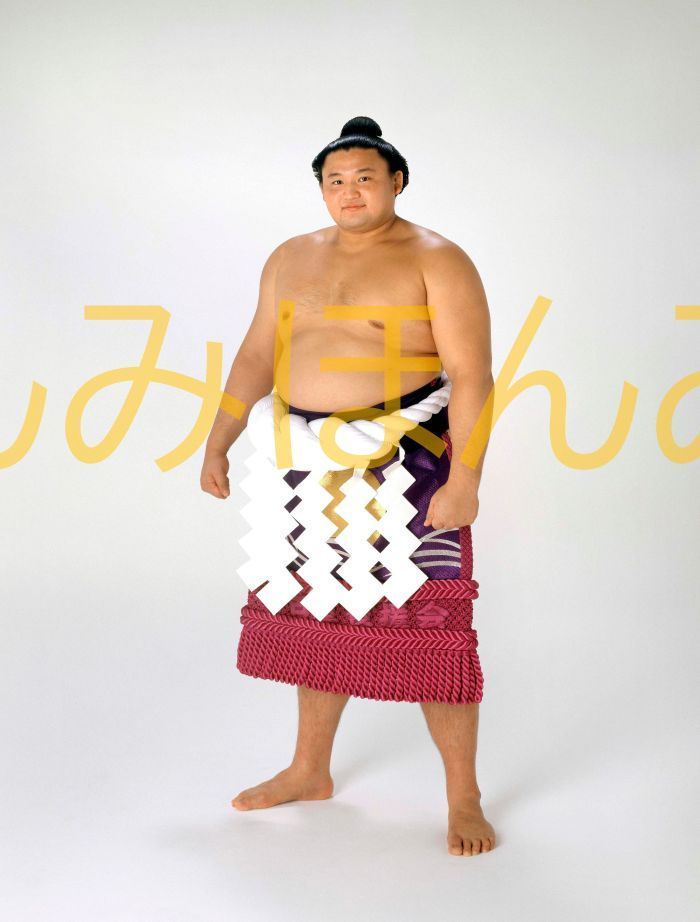 楽天市場】貴乃花光司関 優勝ミニ額 大相撲ミニ額 大相撲優勝額 楽天市場】貴乃花光司関 優勝ミニ額 大相撲ミニ額 大相撲優勝額