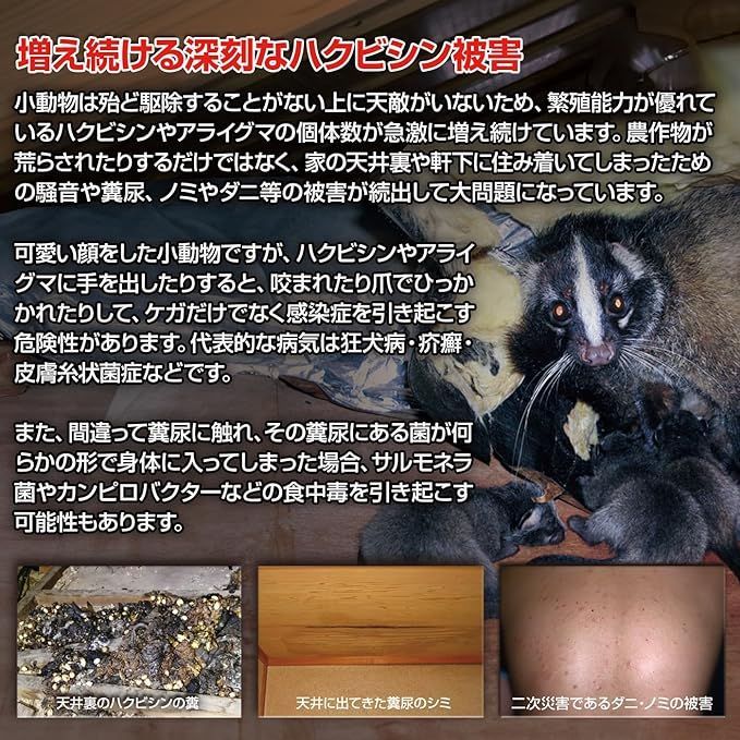 撃退ハクビシン屋内用30個 ハクビシン対策 激辛臭が約2倍の強力