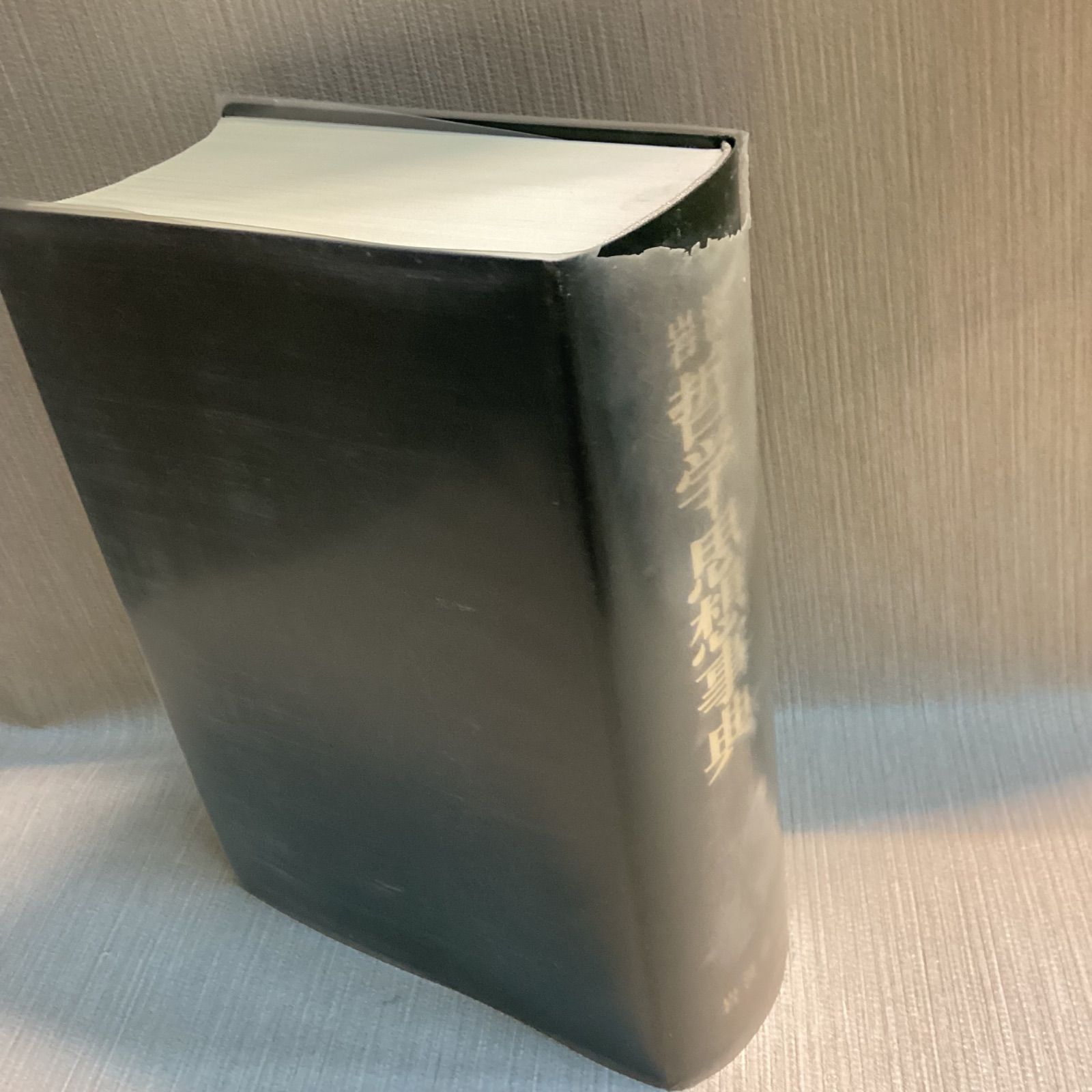岩波哲学・思想事典 廣松渉・子安宣邦・三島憲一 岩波書店