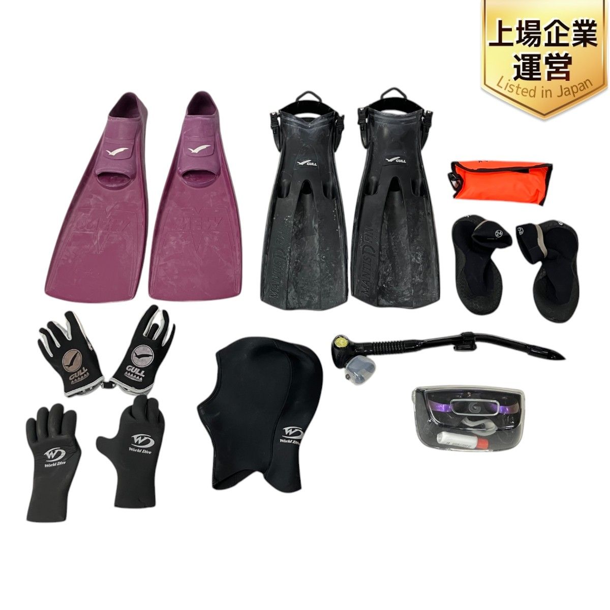 1ST JAPAN TOUR LIVE DVD「WARRIOR Begins」(初回限定版-LIMITED EDITION-)