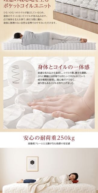 耐荷重250kg 低ホルムアルデヒドF