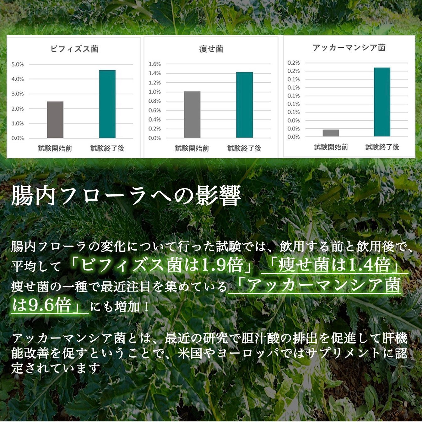 ❗️【腸内バランスの最適化】? 植物エクソソームで痩せ菌増加 