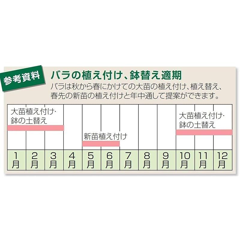 リッチェル