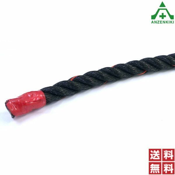 ポリエチレンロープ 黒色 φ34mm×100ｍ巻 (個人宅配送不可/代引き決済不可) PEロープ 作業ロープ 荷網 積荷 介錯ロープ 巾着網 港湾荷役用 登山用 漁業用 結束作業 園芸