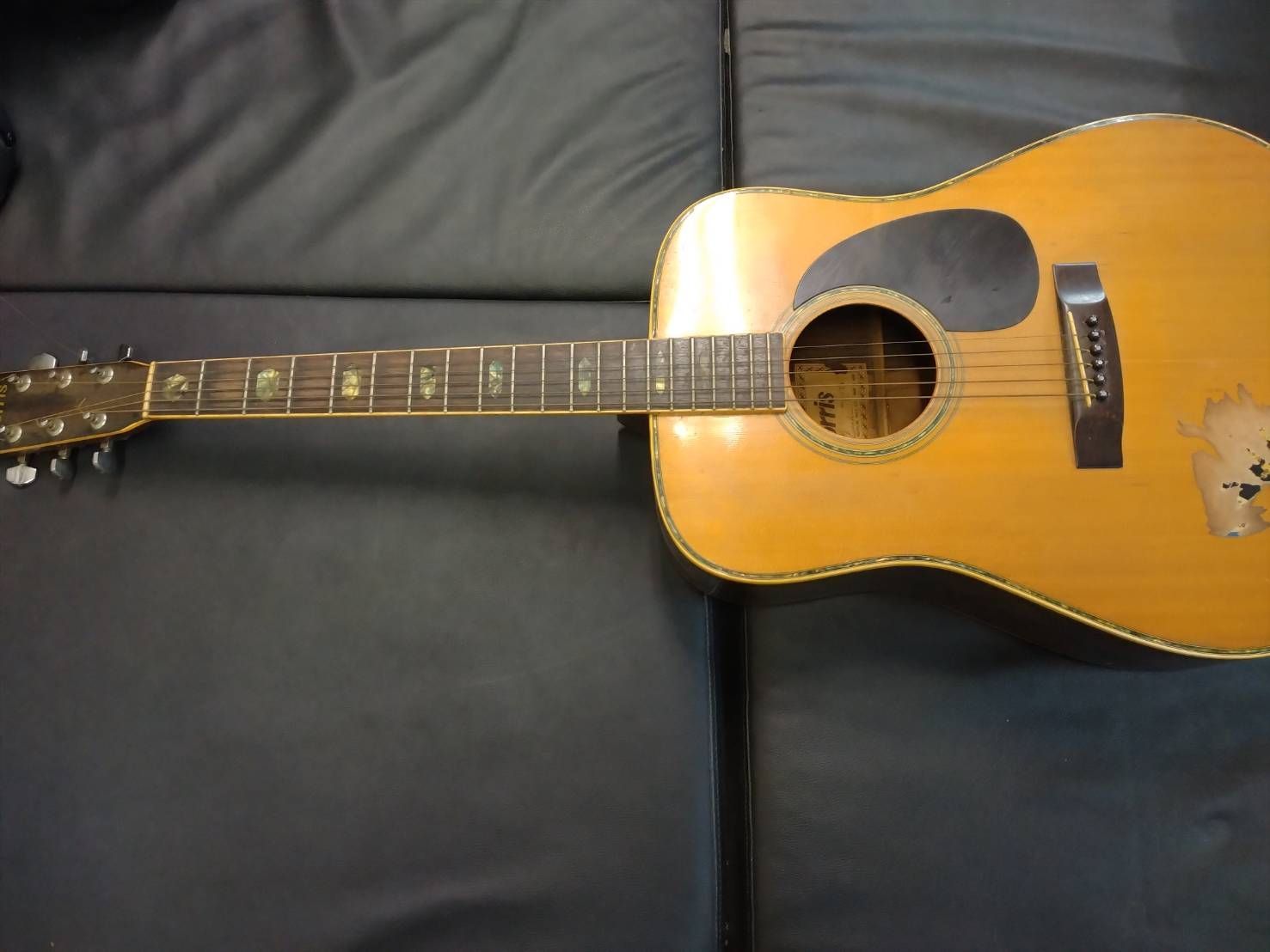 楽器・機材 Morris W-40 アコースティックギター