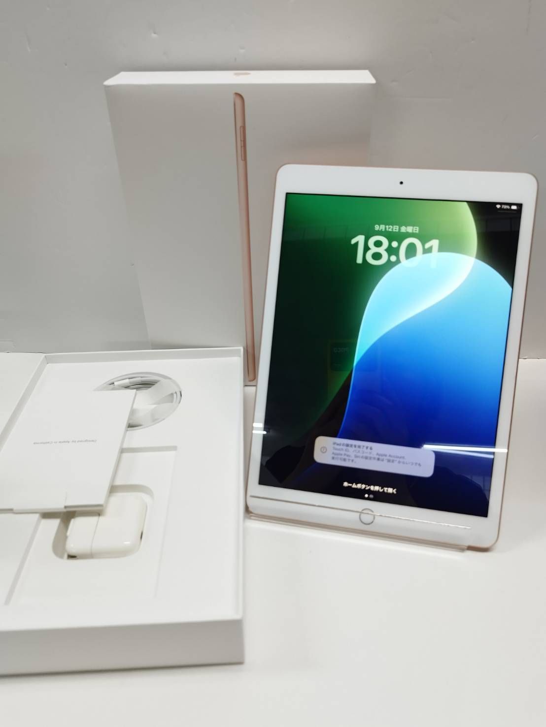 Apple iPad 第7世代 32GB A2197 【訳ありジャンク】 送料無料 iPad 第7世代