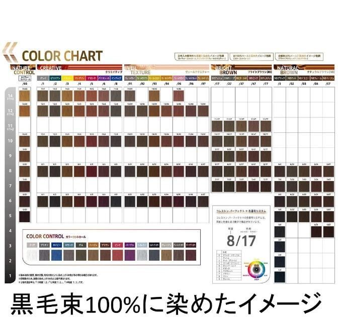 コレストンパーフェクトプラス 981(プラチナレジェンド) 80g