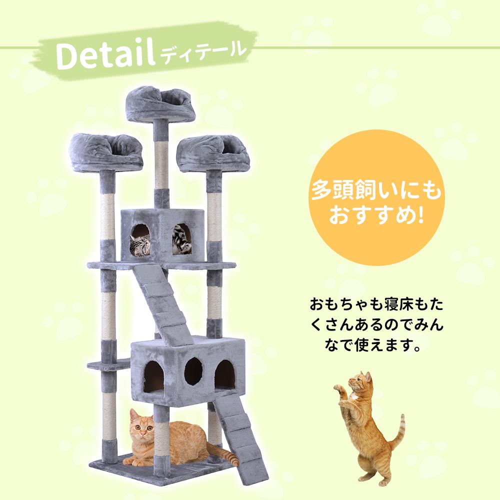 豪華なハウス付き