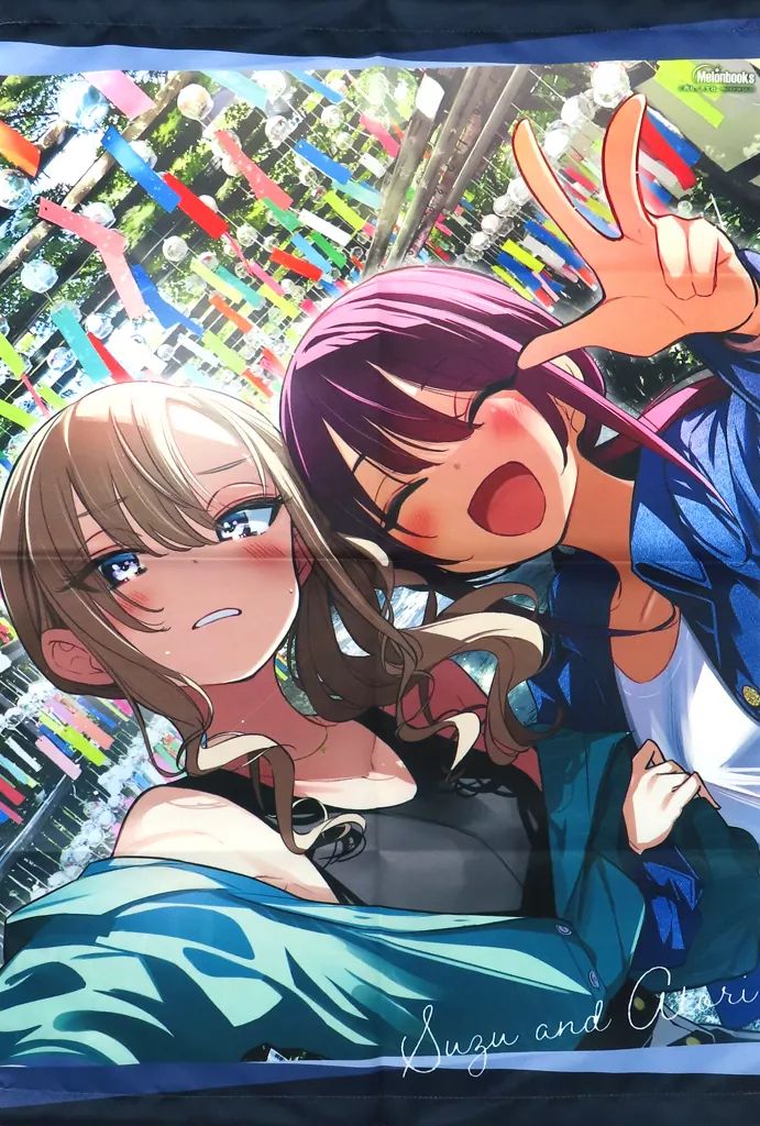 現代美術　シルバパルメイラ　ポルトガル　カモメ　かもめ　タペストリー 中古】タペストリー 水鳥亜鳥＆涼風涼 B2タペストリー 「ばっどがーる」 第