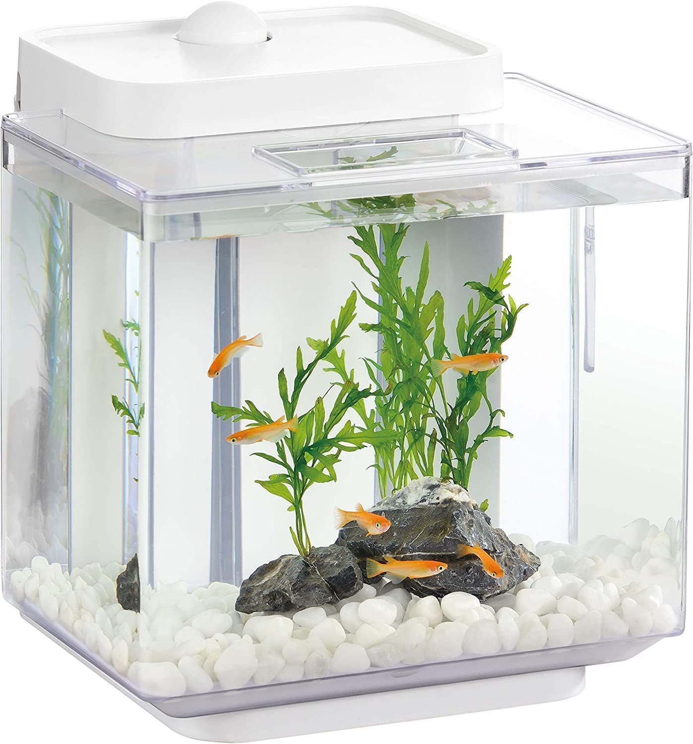 アクアリウム水槽 アクロ アクロ TRIANGLE LED VIVID 1200