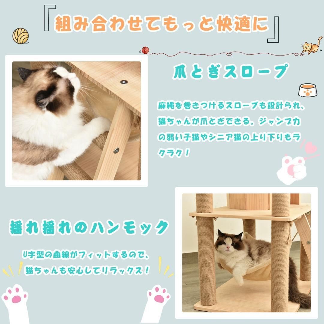 多頭飼い