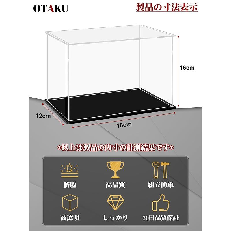 コレクション展示＆保護
