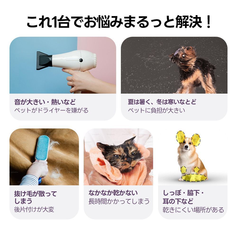 犬