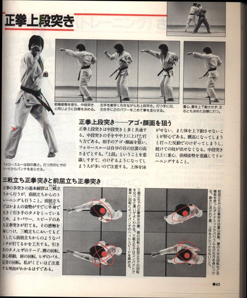 実戦❕芦原カラテ1・2・3 実戦！芦原カラテ1,2,3 ,英語版 実戦！