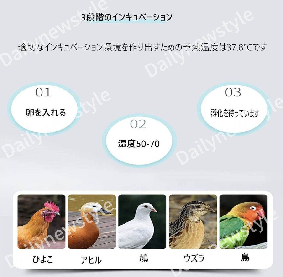 56枚