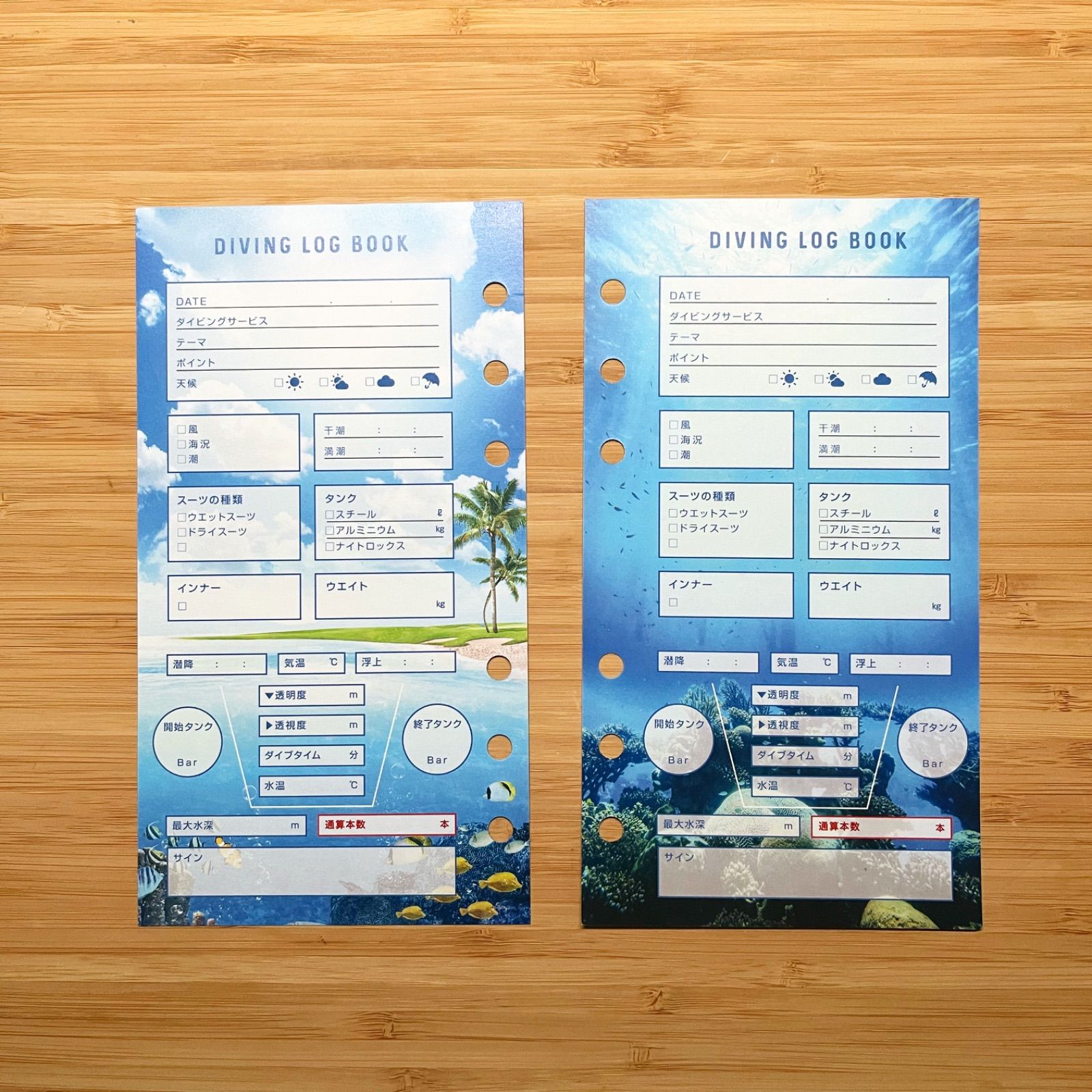 2015年 ダイビング ハローキティ ログブック システムバインダー 6穴