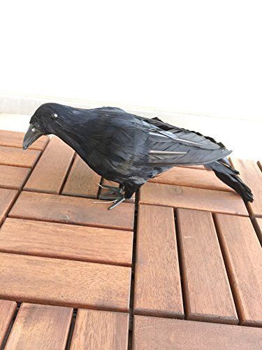 HANA ジェリーキャット カラス 鳥 JELLY CAT - 新作 新品 ジェリー