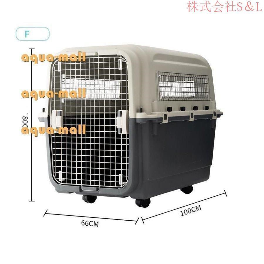 大型犬