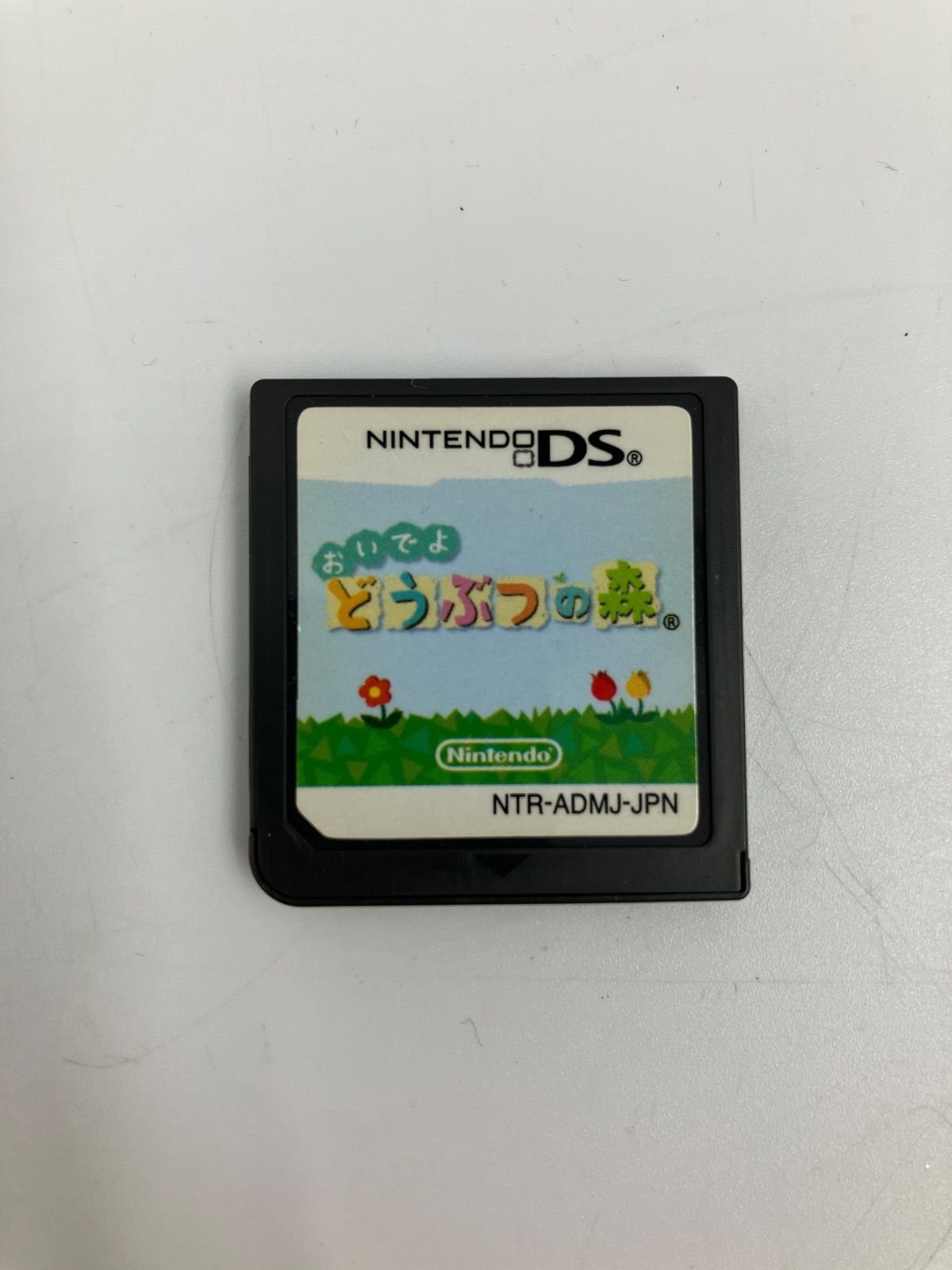 DS Lite