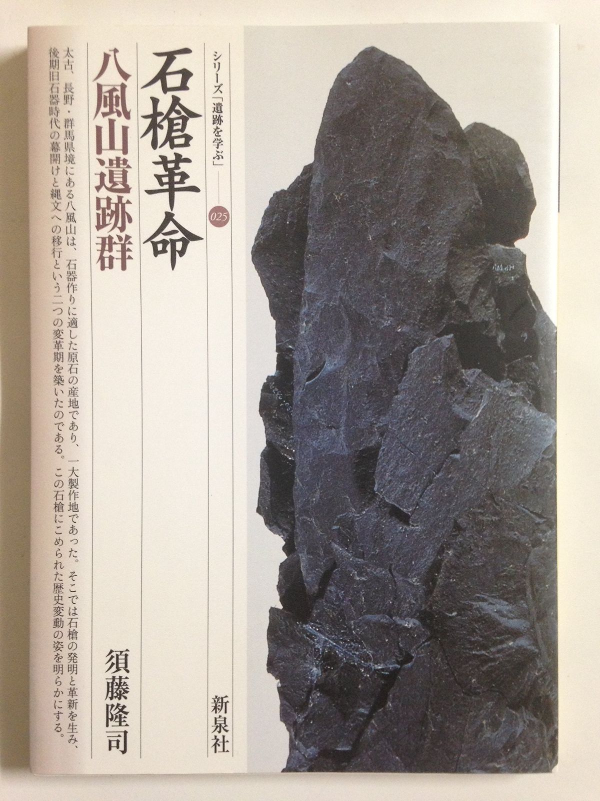 石槍革命・八風山遺跡群 (シリーズ「遺跡を学ぶ」 25)