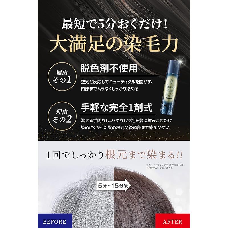  ヘアボーテエクラ ボタニカルエア フォームEX ナチュラルブラック 150 g 白髪染め 泡 ヘア 毛染め レディース メンズ フューチャーラボ 0 白髪染め カラーリング 白髪染め